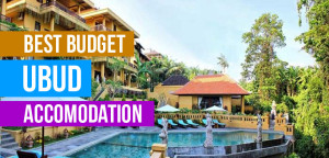 Ubuds-Best-Buget-Accommodation-300x144 Ubuds-Best-Buget-Accommodation-300x144 Ubuds Best Buget Accommodation Seminyaks Best Budget Hotels in Bali Ubuds Best Buget Accommodation