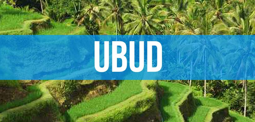 Ubud Bali Travel Guide